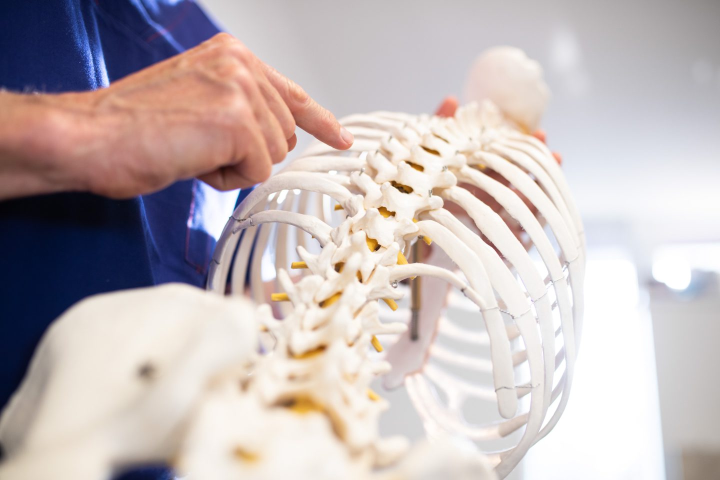 A/Prof Ferch with model skeleton